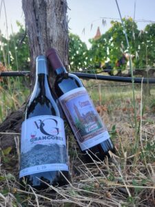 Botellas de vino garnacha con viñedos al fondo