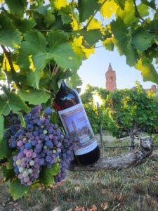 Botella de vino garnacha con viñedos y Belchite Viejo al fondo